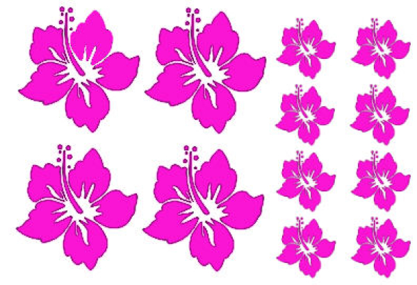 Hawaii Blüten Set 2