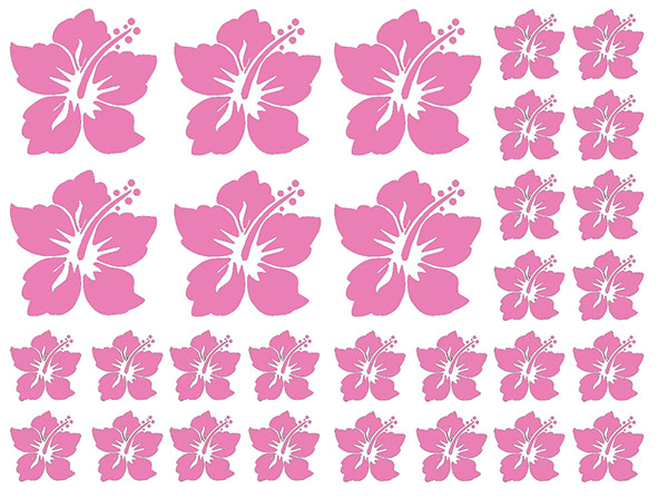 Hawaiisparset Maxi Beispiel